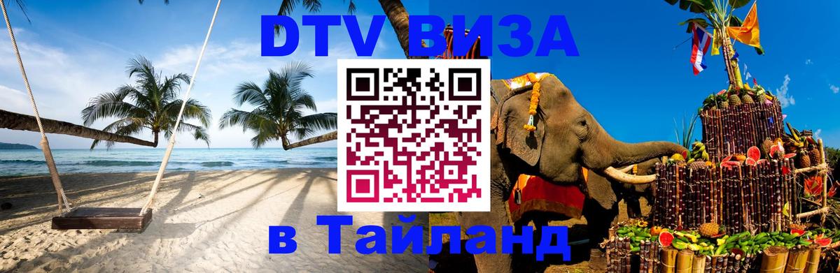 Оформление DTV визы под ключ: стоимость и тарифы, только загранпаспорт - 20.11.2025 